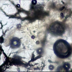 Chains Demo Distorted