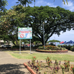 Voqa Kei Munia - DODOMO CALA.