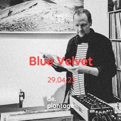 Tabiji #23 with Blue Velvet 29.04.2023
