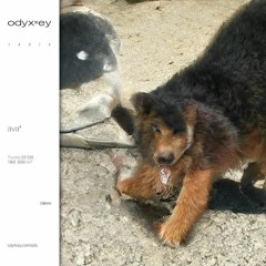 Odyxxey Radio w/ ava*