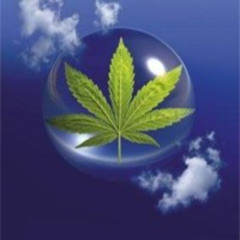 HOLY HYDRO - NAHSTEE MIX