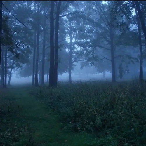Spaceouters - Fireflies (slowed & reverb)