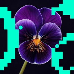 Movin' On / A.C.D. | Flores