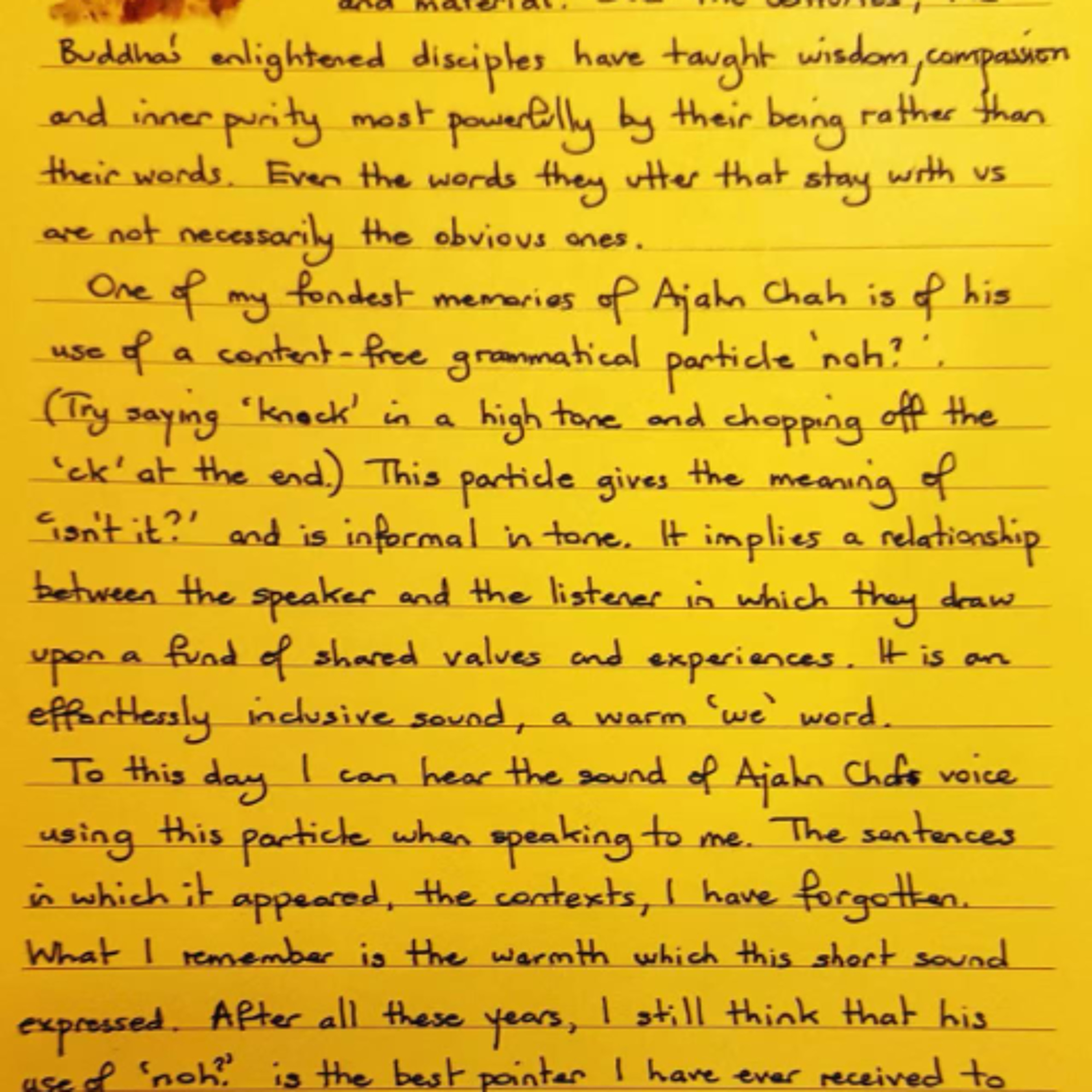 Nutrimento del Cuore - Foglietto Giallo del 15 novembre 2025 sui ricordi