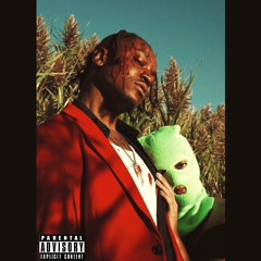 Suna’s Interlude ft. Suna Ayako (2017)