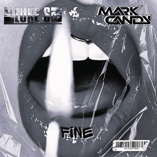 Luke S x Mark Candy - Fine (Organ Remix)
