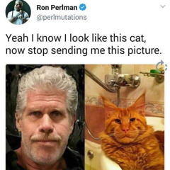 That time you did that thing with the stuff and that dude was there and he said some shit to somebod