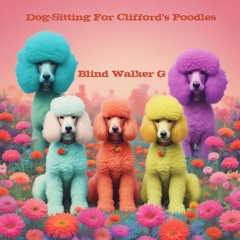 Dog-Sitting For Clifford's Poodles
