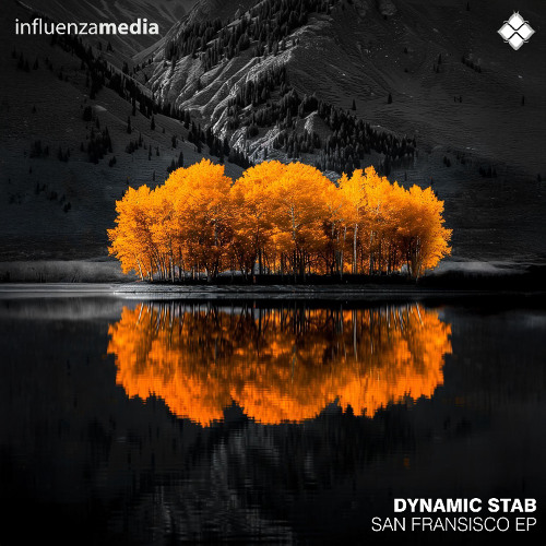 Dynamic Stab - Like Me Around