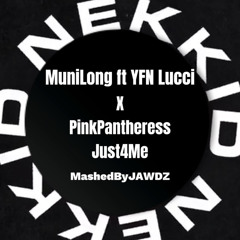 Muni Long Nekkid X PinkPantheress Just For Me Mash Up ( JAWDZ )