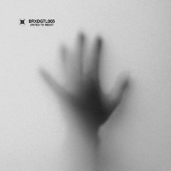 BRXDGTL003 - Various Artists - United to Resist (Snippets)