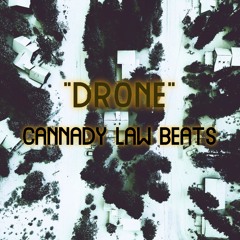 Hip Hop x Trap Type Beat [DRONE]