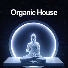 Organic House Playlist 2025 | Guitar House, Flute House Tracks, Best Organic Songs
