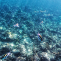 Ocean