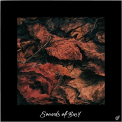 Sounds of Basil - Dry Leaf
