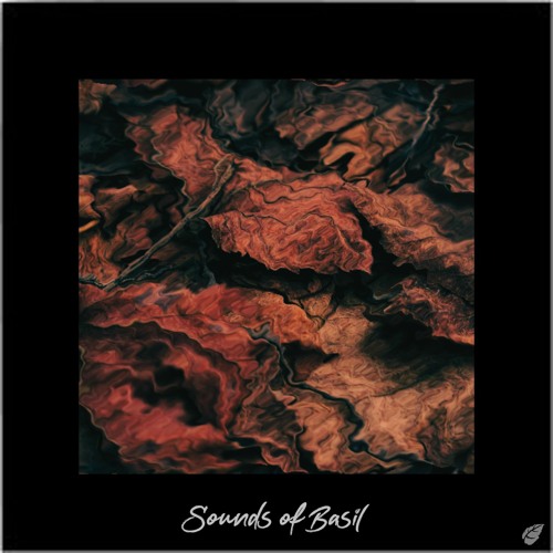 Sounds of Basil - Dry Leaf