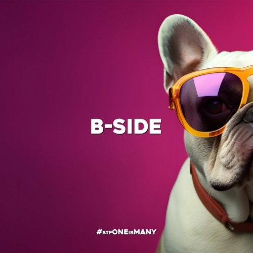 B-SIDE - Who Let The AfroDisco Dog Out?