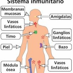 Integración Del Sistema Inmune
