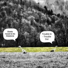 GHETTO HARALD & MC PIKKDIKK - TROUBLE IN TROUBLE OUT.wav