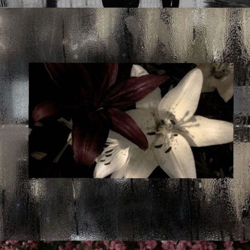 Stay with me (prod. loading)