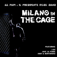 Milano nella gabbia