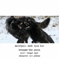 malatyalı abdo için bir konuşma'dan parça