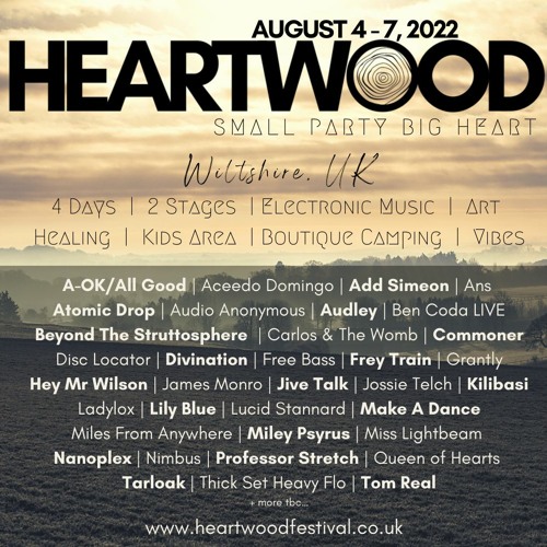 Beyond The Struttosphere LIVE @ Heartwood Festival 2022