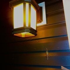 Attempt2_08.11.2025.wav