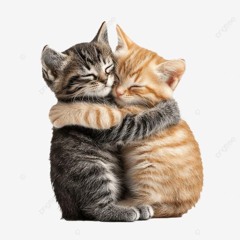 nagee - aval y plata