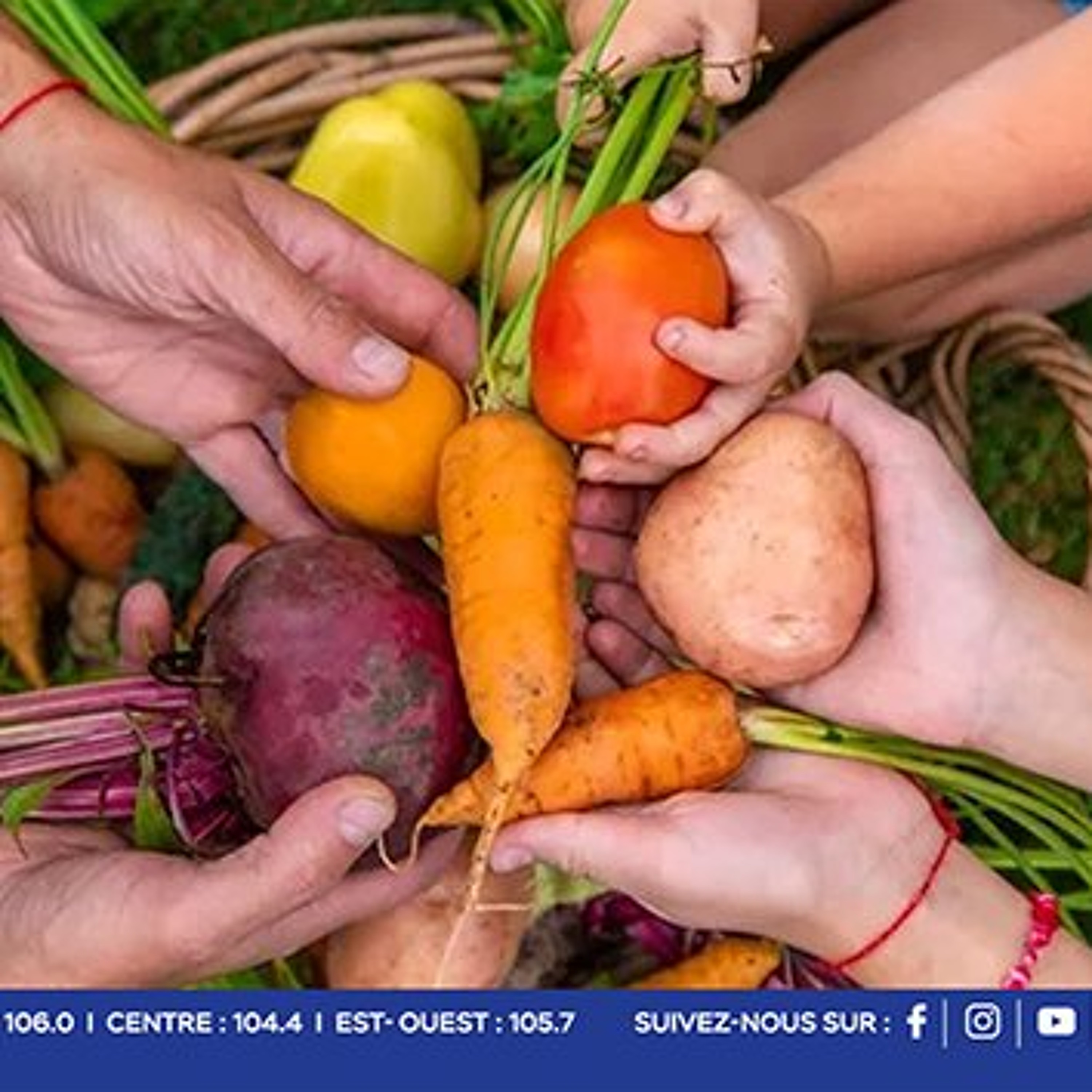 Souveraineté alimentaire et stratégie « 25 by 35 » : un objectif réalisable pour les planteurs, à condition de relever les défis du secteur episode artwork