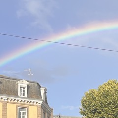 Tribe ki pars enkouille