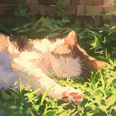 cat nap
