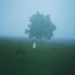 pov: ela desapareceu eternamente na neblina do campo