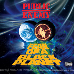Public Enemy – Fear of a Black Planet