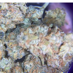 F L O A T I N  SwishKeith X Mitchy