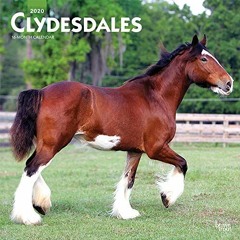 [VIEW] [KINDLE PDF EBOOK EPUB] Clydesdales 2020 12 x 12 Inch Monthly Square Wall Calendar, Animals H