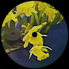 magnum6k, Dean Blunt, Elias Rønnenfelt - 5 [UKG REMIX] (FREE DL)