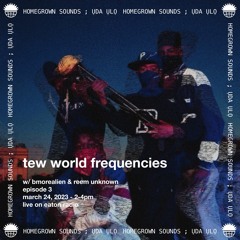 Tew World Frequencies w/ Reem Unknown episode 3