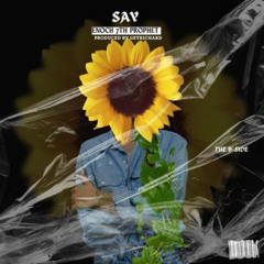 Say (Remix)