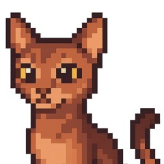 Abyssinian