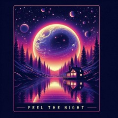 Feel the Night