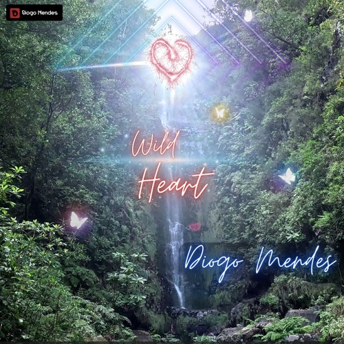 Wild Heart (Original Extended Mix)
