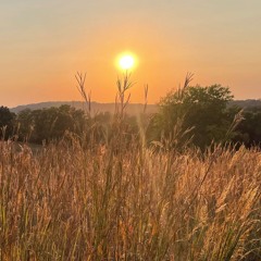 Bluestem