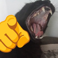 Voices in My Head (Hyperpop Remix) (Prod. By Me)