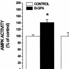 Watts Doc #45: How High Intensity Aerobic Adaptations With AMPK Do (And Don't) Work