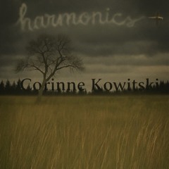 Harmonics Second Session - Vocals