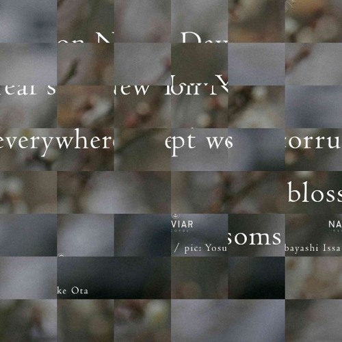 Corruptures [ naviarhaiku574 ]