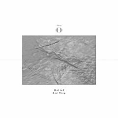 Teaser : Red Wing - Belief EP [ZS009]