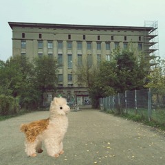 Lascivio Bohemia - Dejé mi Poncho en Berghain