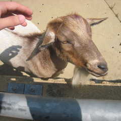 didnt mean that much 1.1